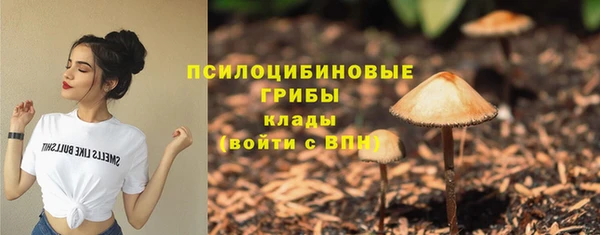 мет Баксан
