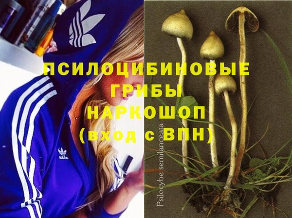мет Баксан
